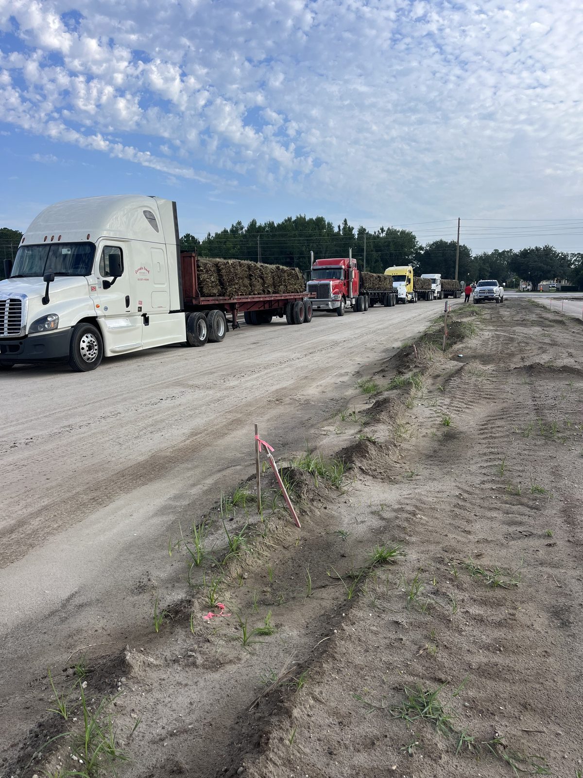 Several sod trucks staged for a large delivery