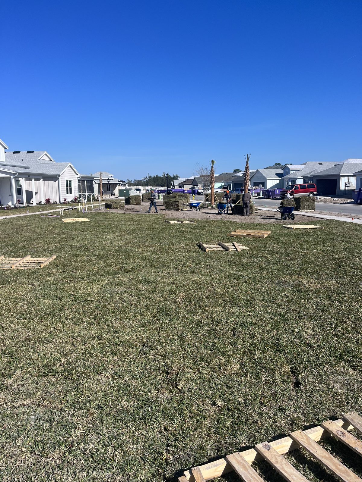 Crew laying sod on site
