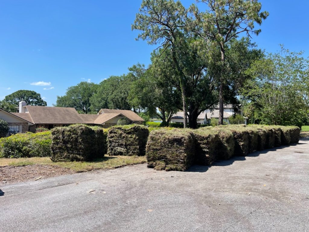 Ground prepared and ready for sod installation