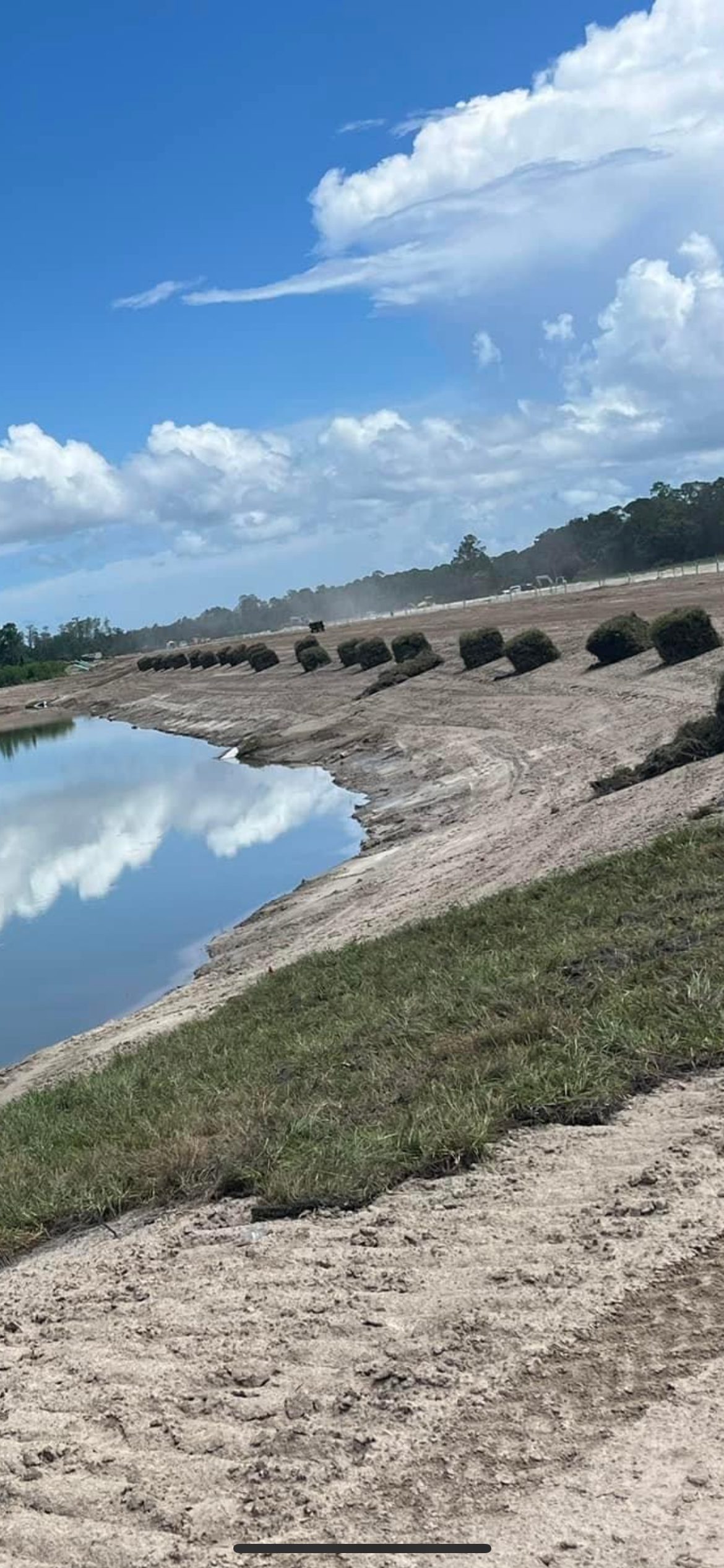 Sod installed along a pond bank