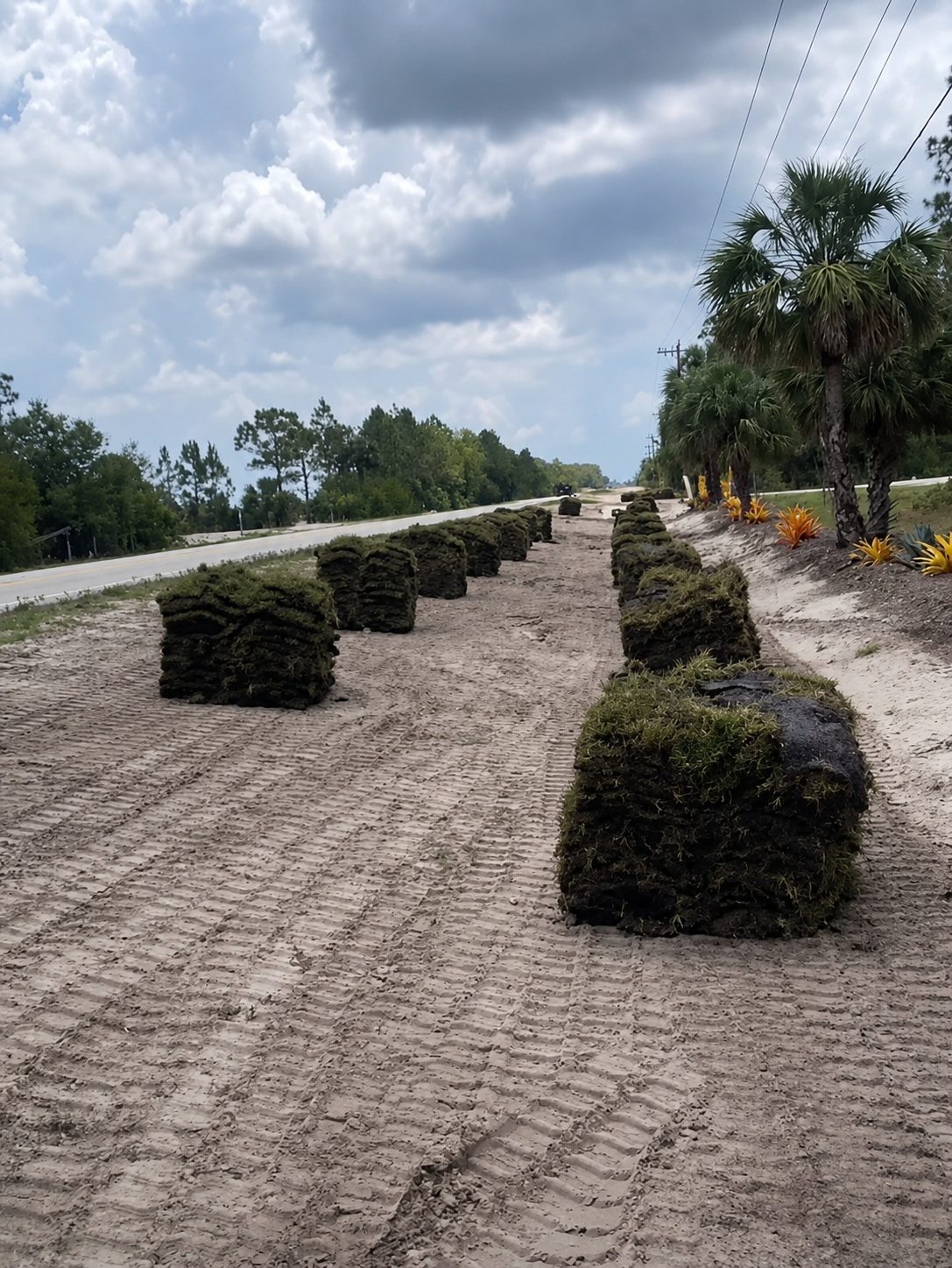 Roadway sod installation
